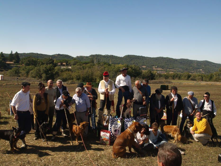 Concurs de Gossos d'Atura de Castellterçol