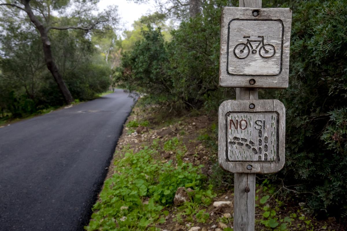 Las fotos del asfaltado del bosque de Bellver que indigna a ciudadanos y ecologistas Las fotos del asfaltado del bosque de Bellver que indigna a ciudadanos y ecologistas
