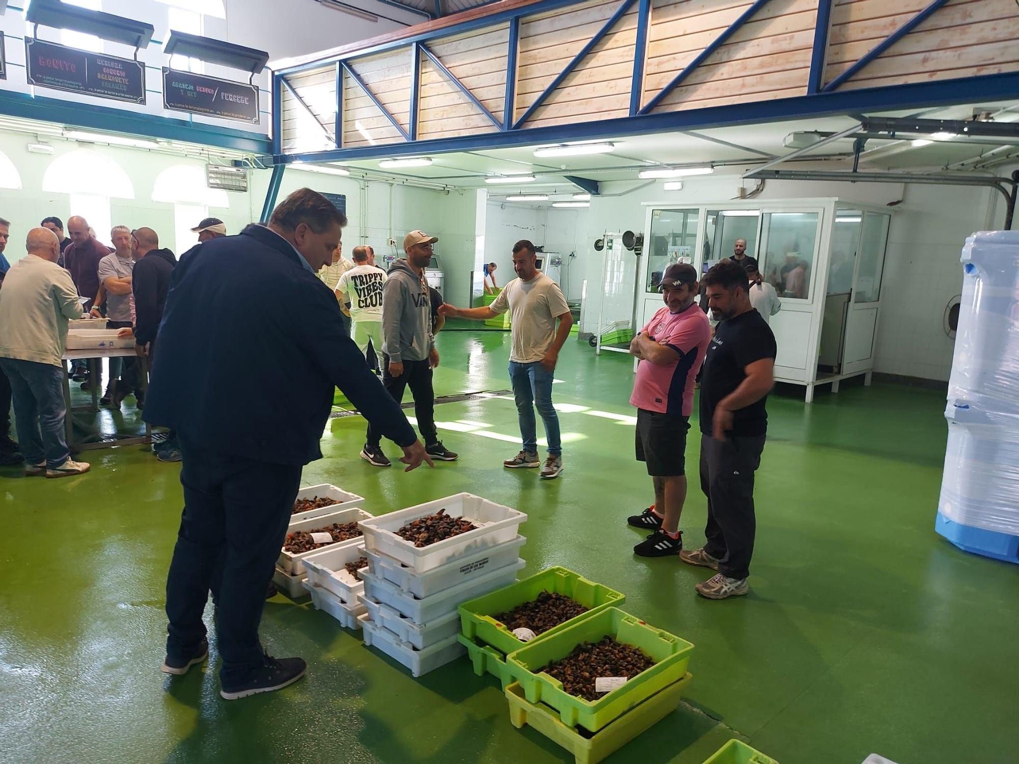 En imágenes: La primera subasta de percebe de la temporada en la rula de Puerto de Vega