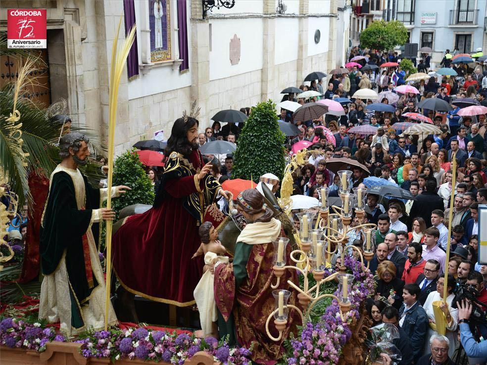 FOTOGALERÍA / El Domingo de Ramos en la provincia