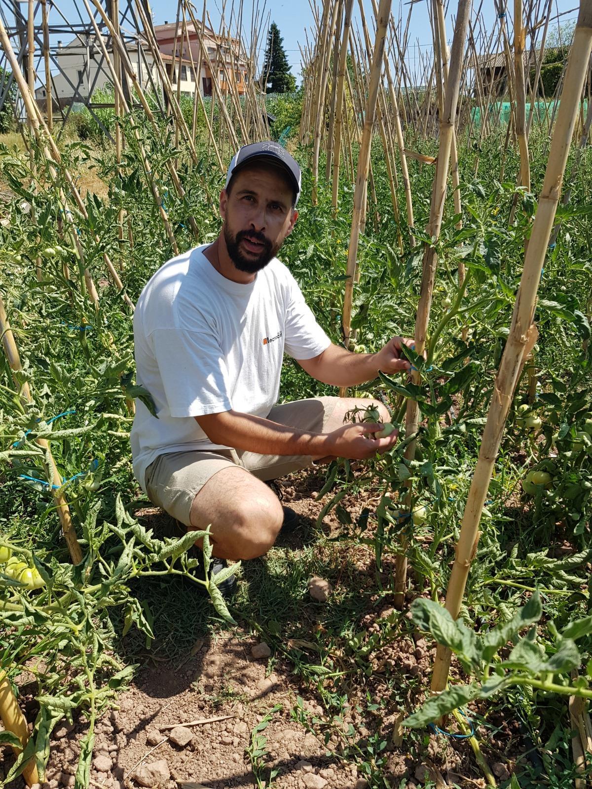 Als horts de Càritas, dins del programa Activa’t a l’hort