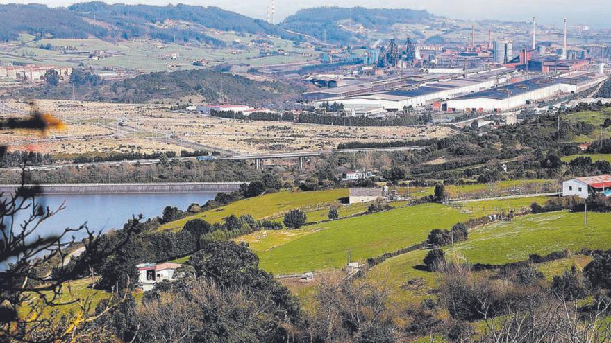 Terrenos de la Zalia, al otro lado del embalse de San Andrés de los Tacones. | Marcos León