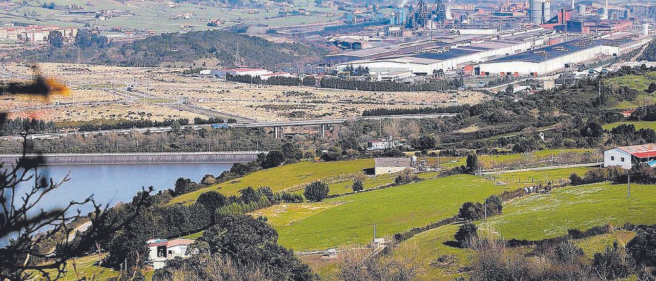 Terrenos de la Zalia, al otro lado del embalse de San Andrés de los Tacones. | Marcos León