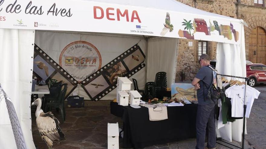 Festival de las Aves en enclaves del casco histórico