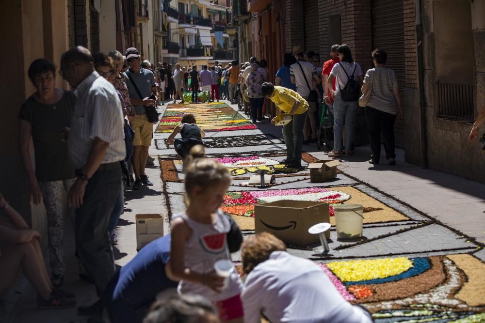 El concurs de catifes de flors naturals omple Arbúcies