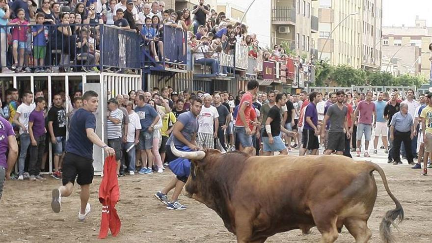 La Comissió del Bou busca mejorar la imagen de los toros de septiembre