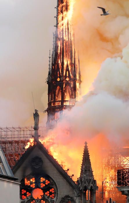 Incendi a la catedral de Notre Dame