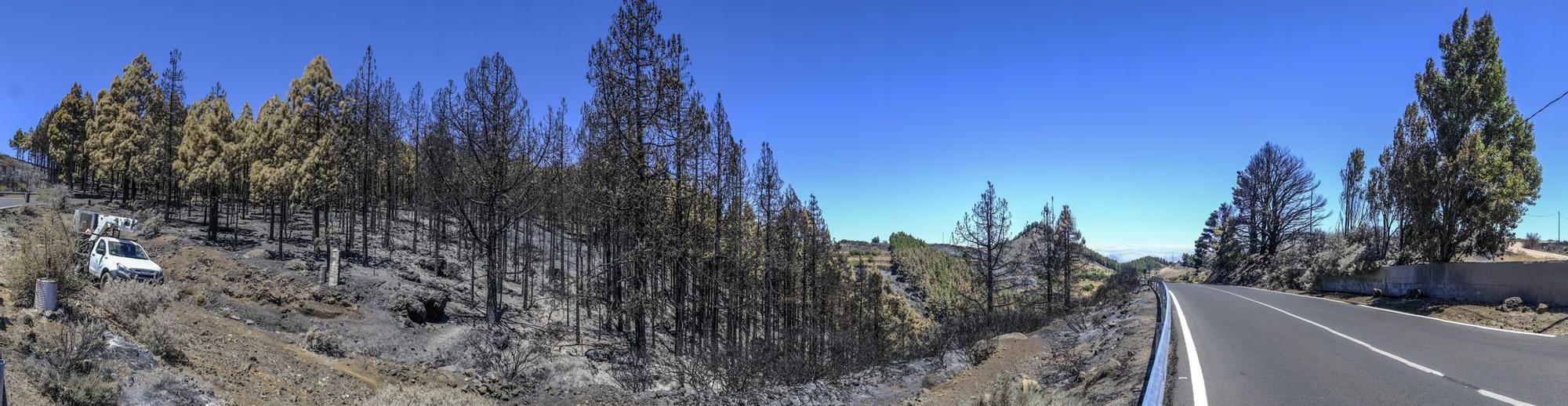 Incendio en la Cumbre de Gran Canaria: después del fuego viene la calma