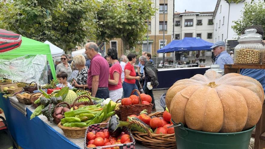 Certamen de la huerta en Posada de Llanes