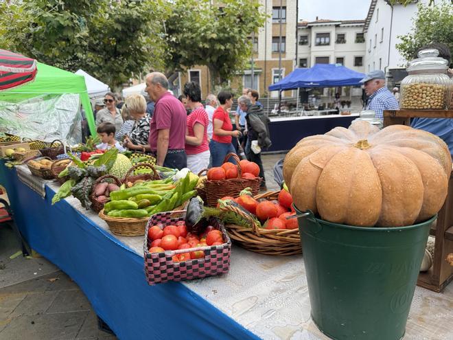 Certamen de la huerta en Posada de Llanes