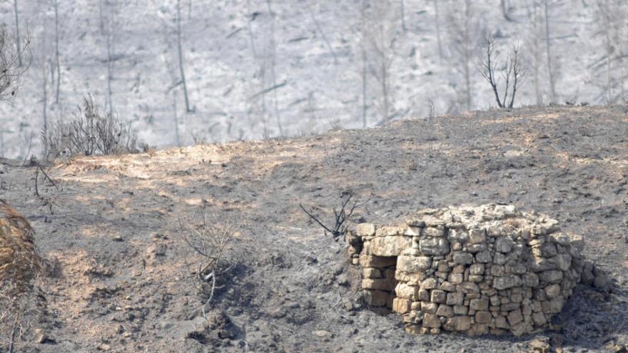 Imatge de la zona cremada a Òdena el 2015