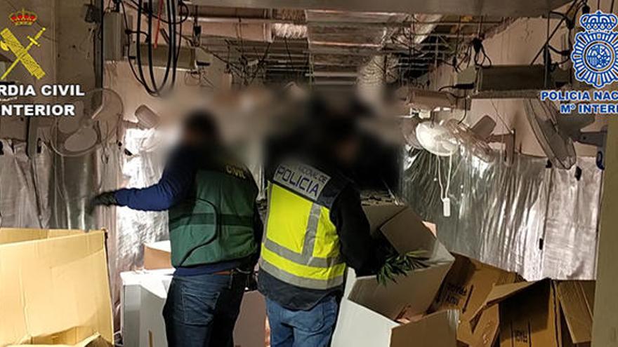 Una red exportaba desde Alicante alijos de «maría» ocultos en palets de zapatos controlados por GPS