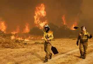 «Refrescamos la zona porque a veces las raíces siguen ardiendo bajo tierra»