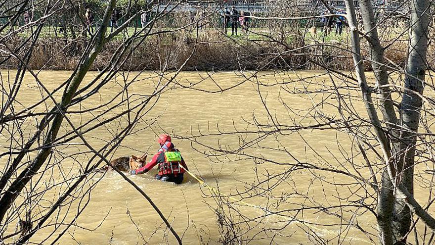 Un bombero durante el rescate del pastor alemán.