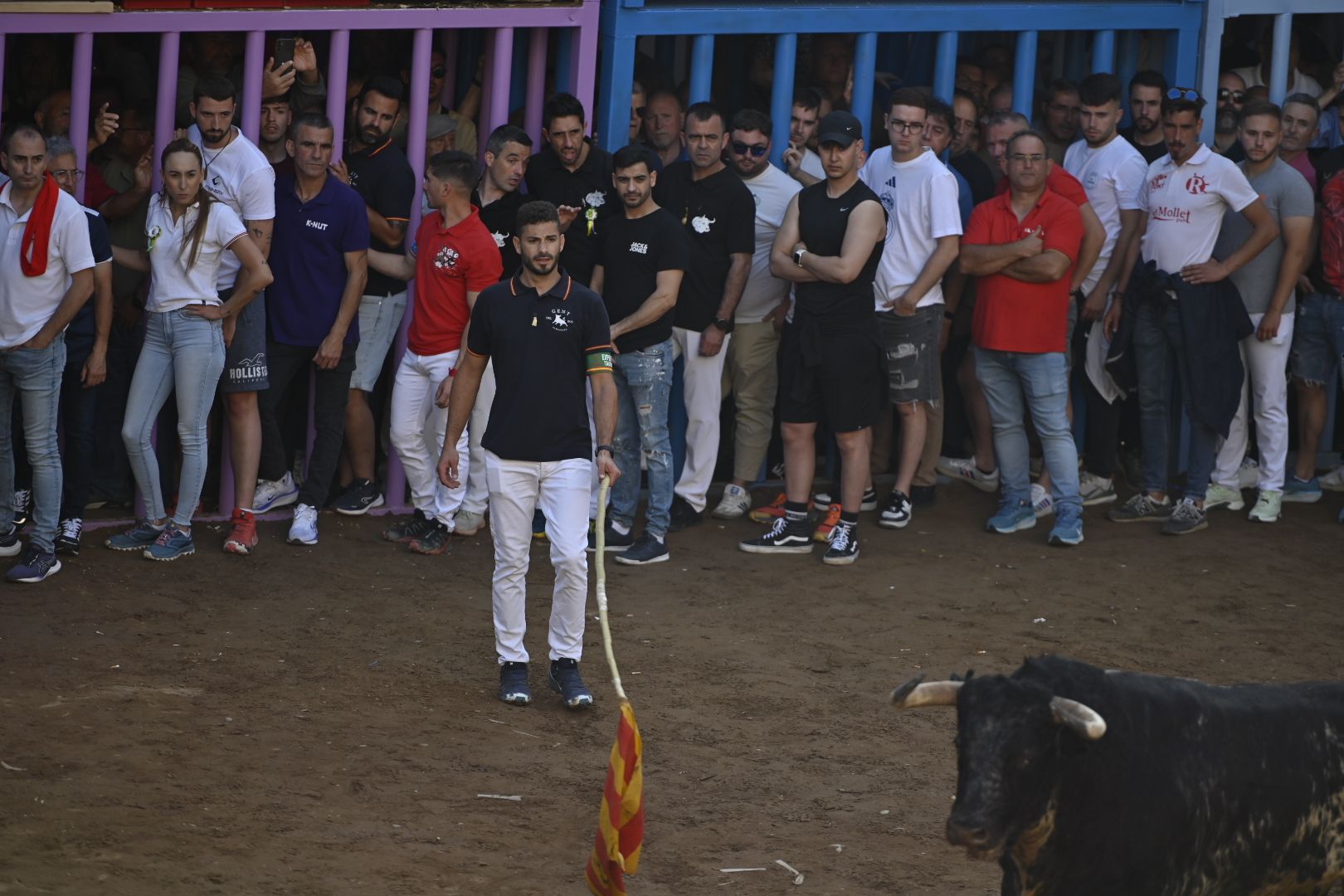 Galería | Primera tarde de toros en Almassora