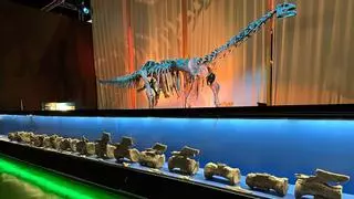 Hallan en Teruel el primer diplodocus fuera de Norteamérica: vivió hace 150 millones de años y medía hasta 25 metros