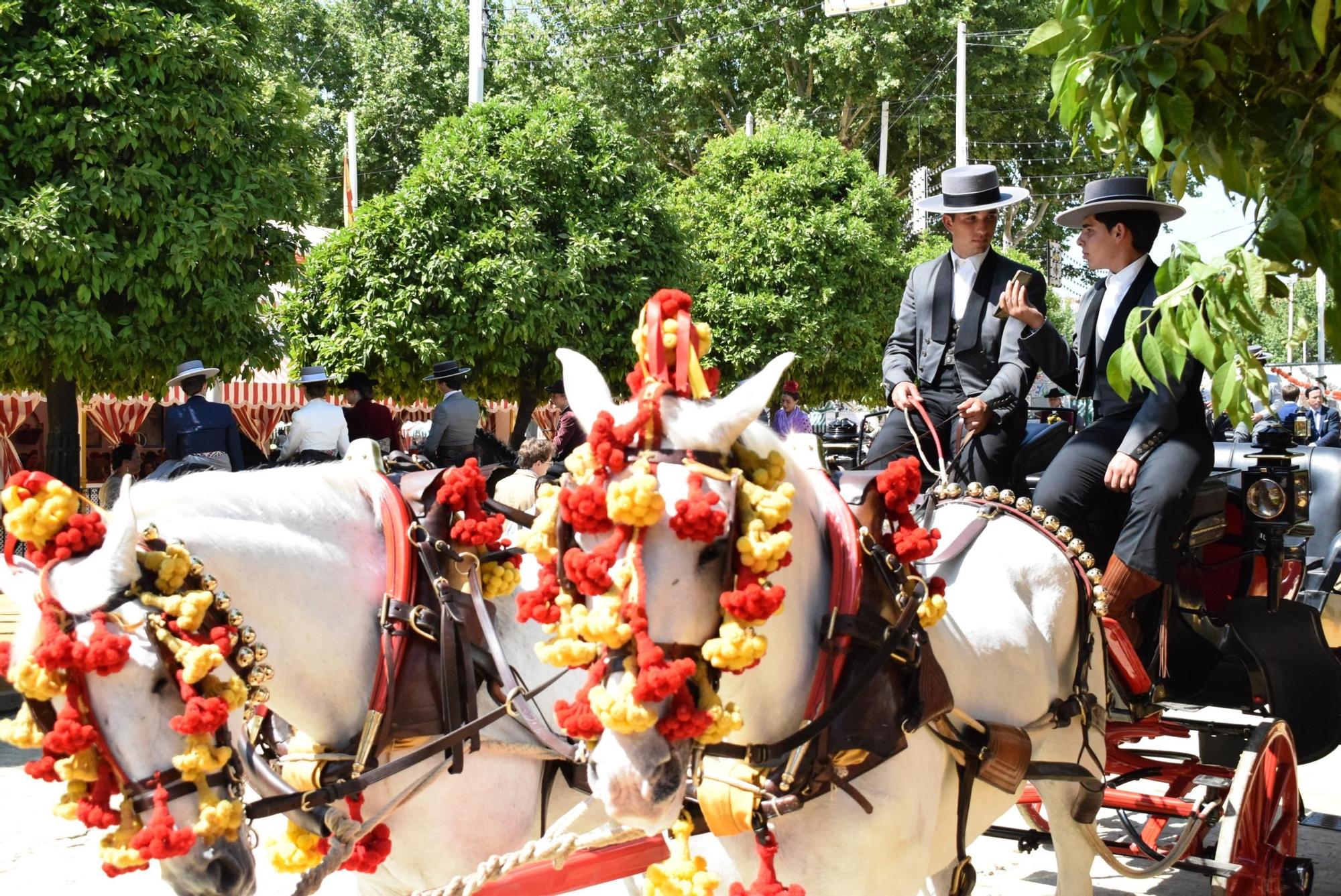 Coche de caballos en el Real