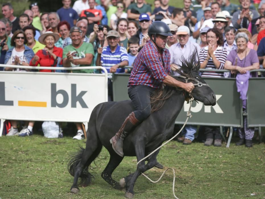 Fiesta del Asturcón en El Sueve