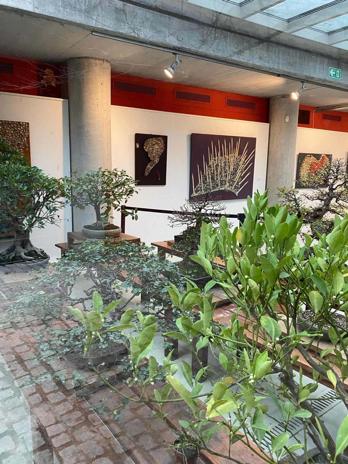 Una imagen de la exposición en el botánico de Madrid, que puede visitarse hasta el próximo día 22.