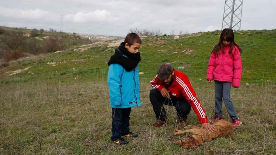 El propietario de los galgos muertos observa a uno de los animales junto a sus hijos.