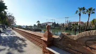 Sevilla pone fin al deterioro de los bancos del Paseo de las Delicias: avanza el mayor proyecto de restauración