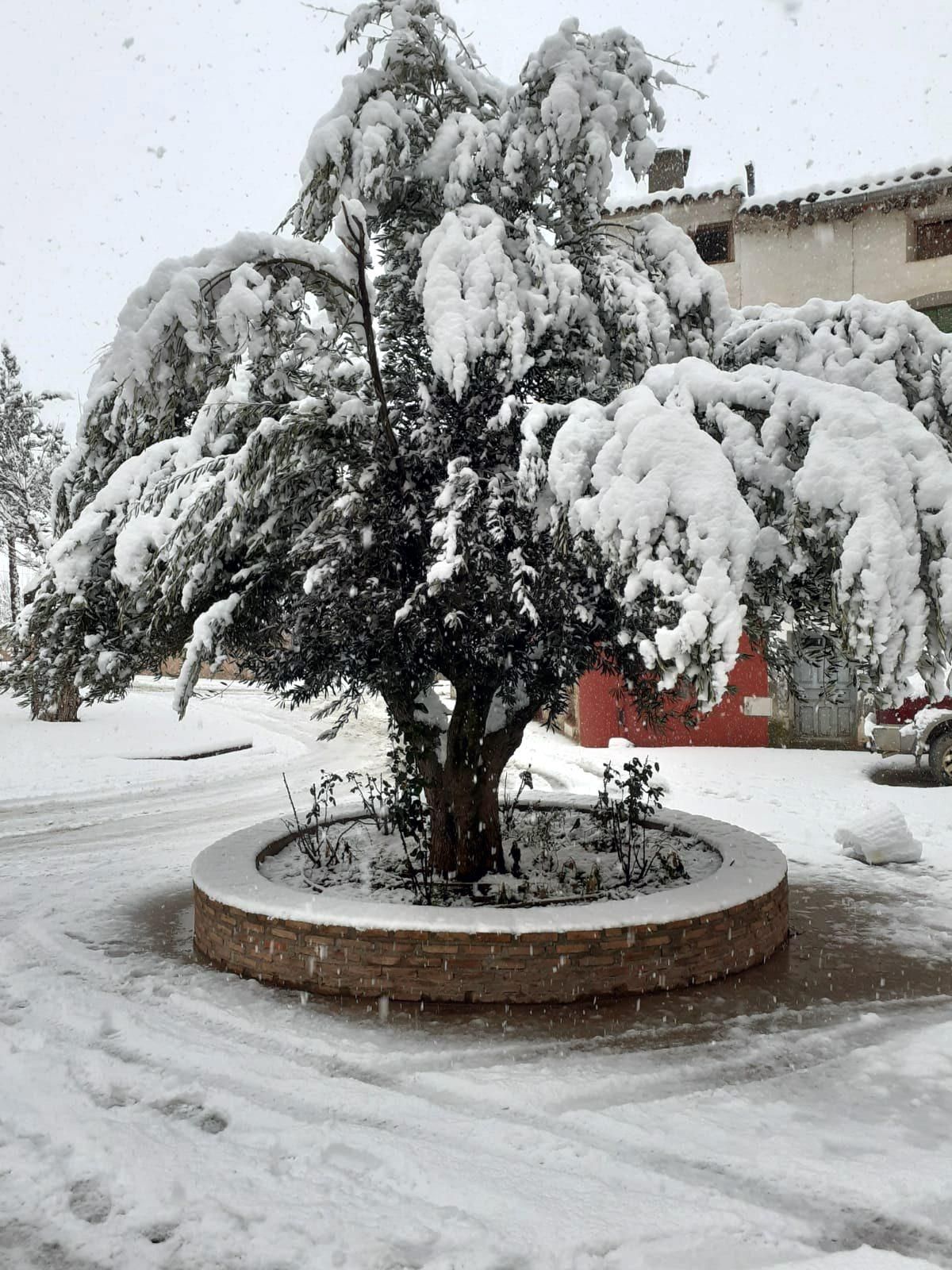 Temporal en Aragón