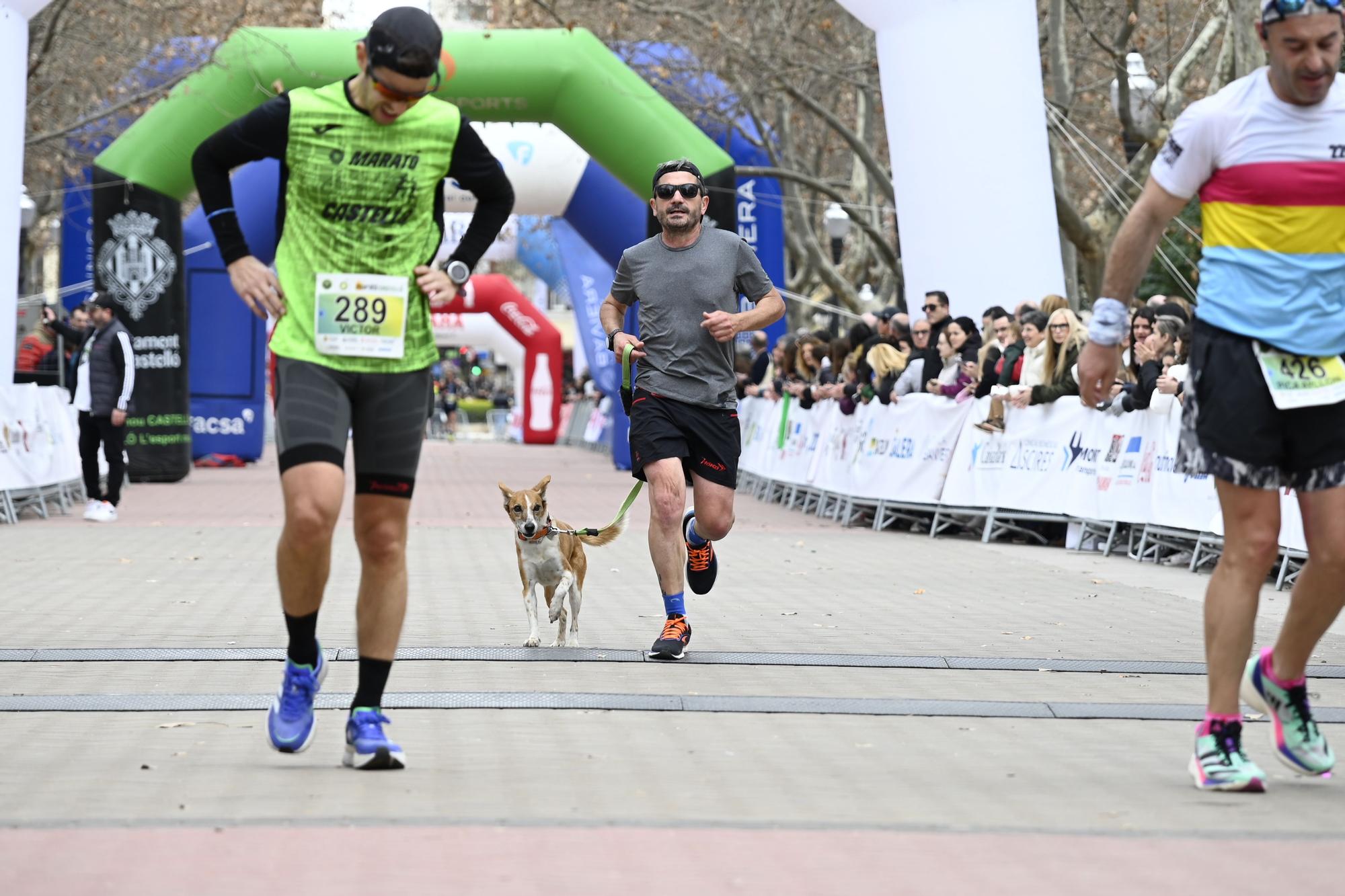 Marató bp y 10K Facsa | Segunda toma de las mejores imágenes de las carreras de Castellón