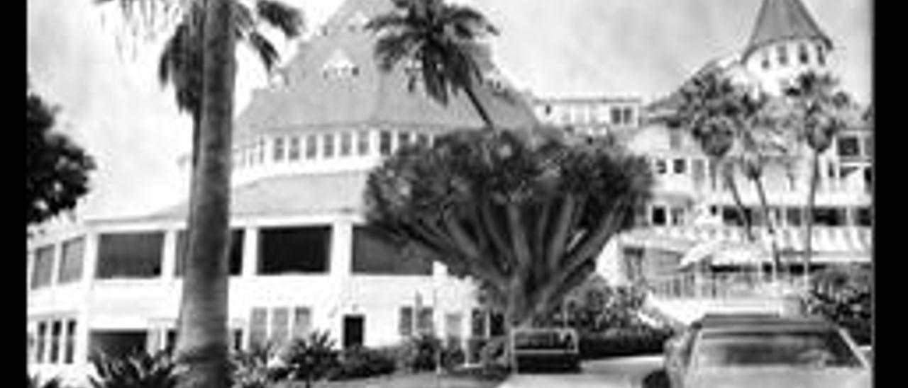 Uno de los dragos del hotel Coronado, en California.