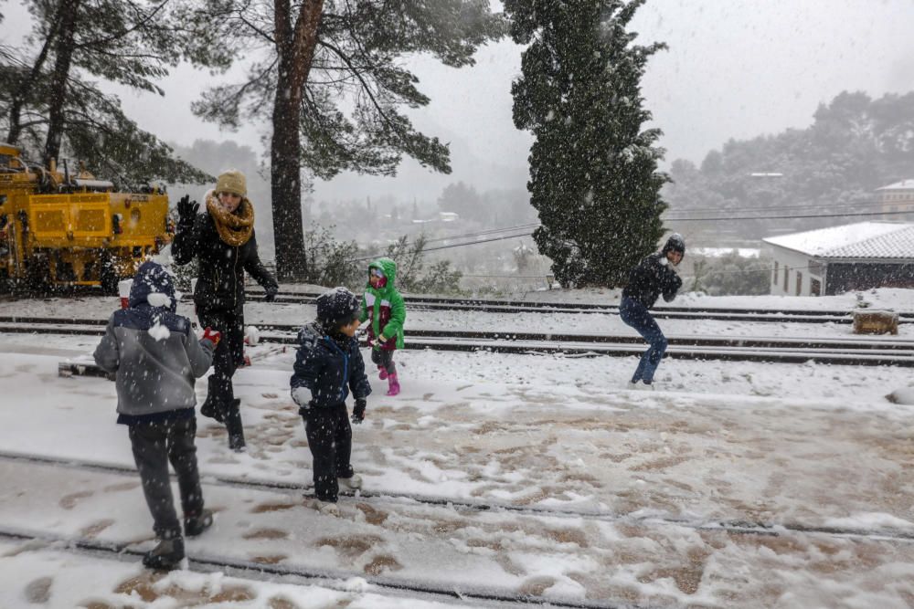 Las mejores imágenes de la nevada