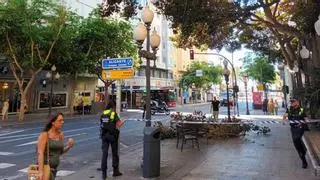 Cae una rama de ficus en la Rambla de Alicante