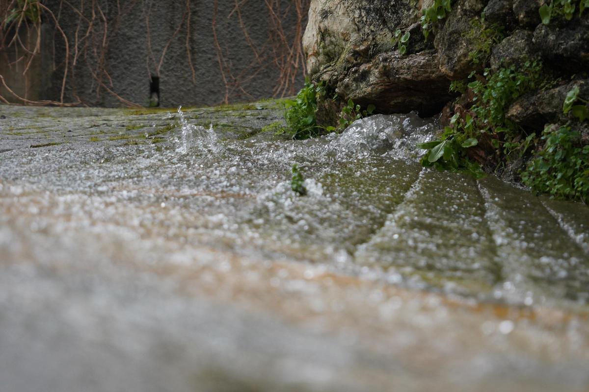 El agua brota del suelo en Alpandeire.