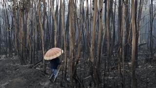 Galicia contra el incendiario fantasma