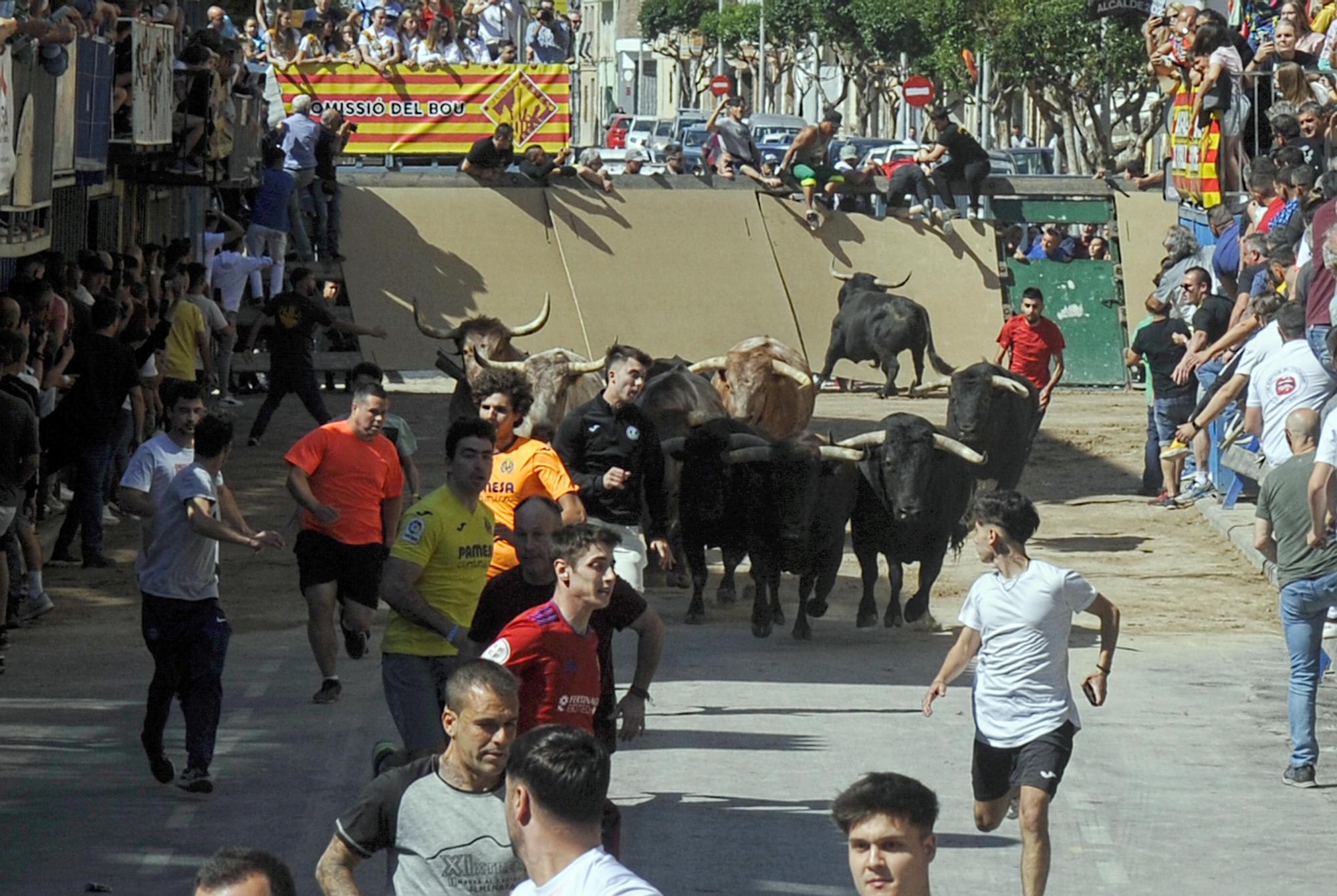 Las mejores imágenes de la jornada festiva en Vila-real