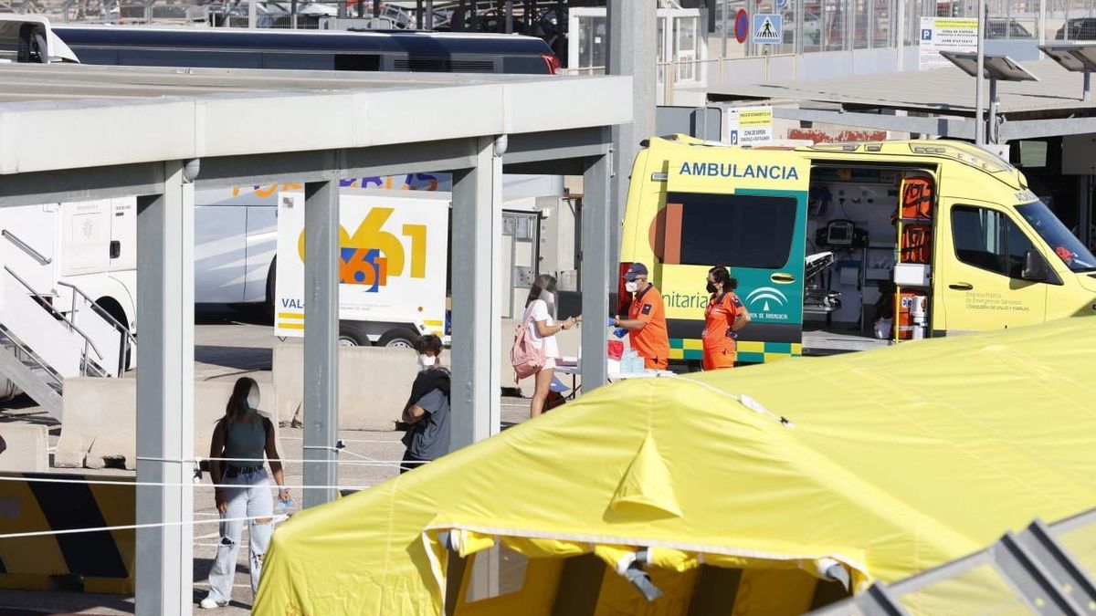 Dispositivo habilitado en el puerto de Valencia para recibir a los estudiantes de Mallorca.