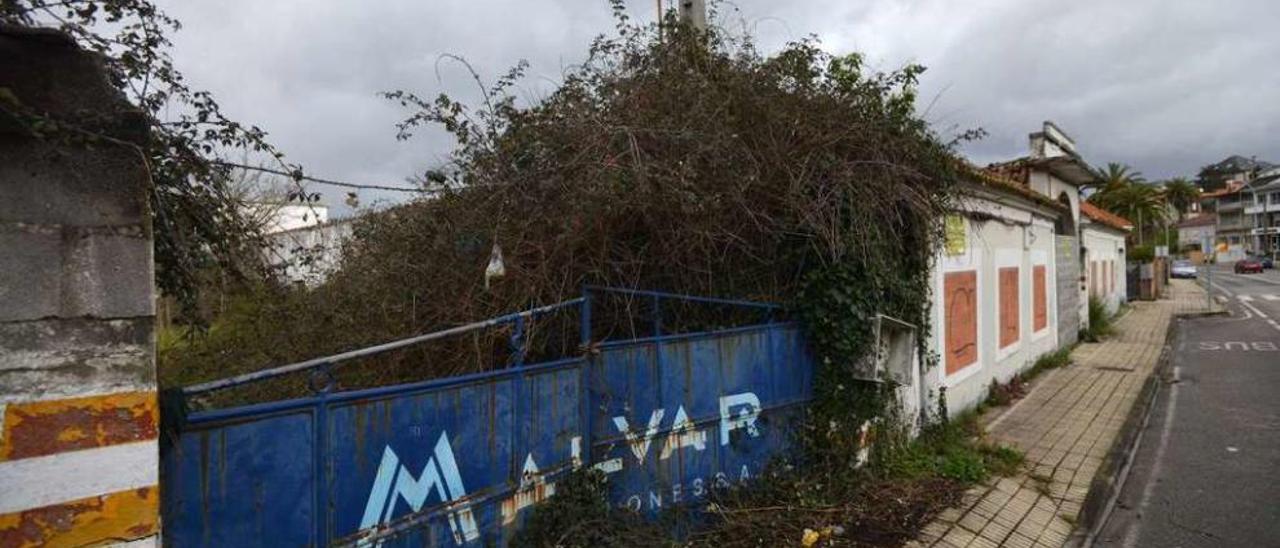 La maleza y la basura invaden la finca. // Gustavo Santos