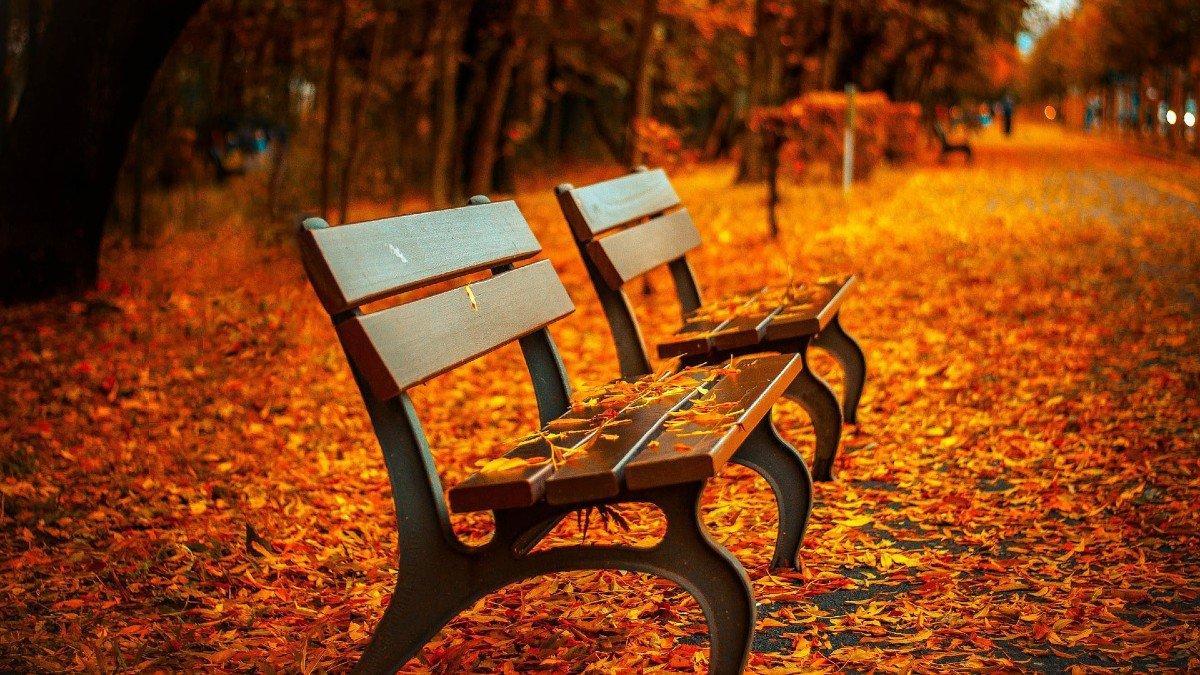 Otoño en un parque de Barcelona.