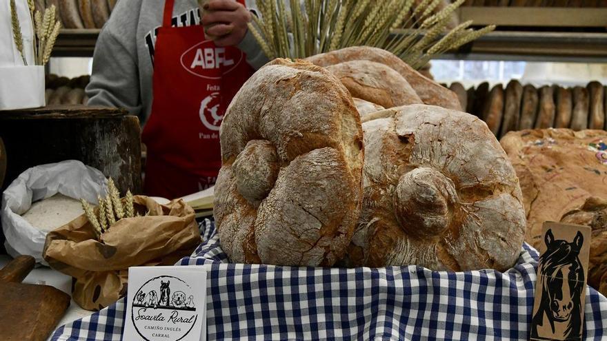 Carral prepara la primera edición del 'Entre migas e tostas' con trece locales participantes