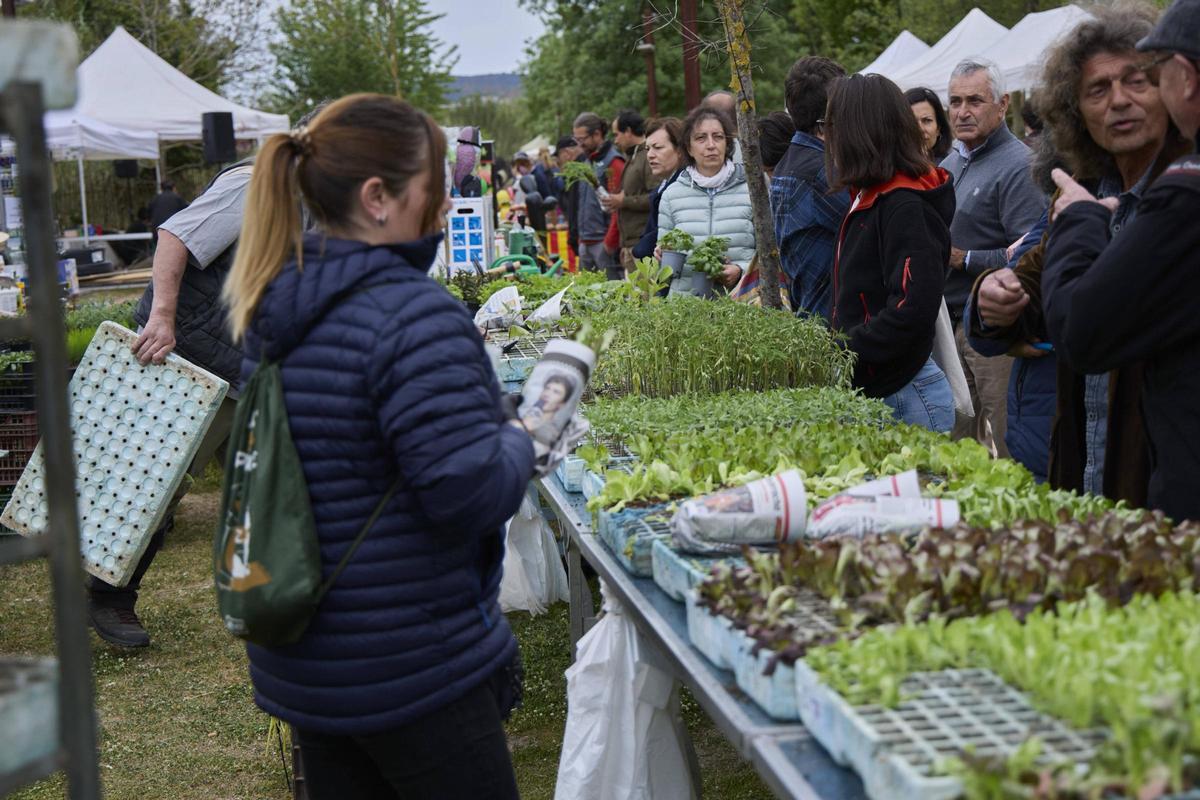 Una gentada s’ha acostat per visitar els 34 expositors presents, per participar en algun dels tallers programats o passejar per l’espai natural de la Fira de la Flor i el Planter. Una gentada s’ha acostat per visitar els 34 expositors presents, per participar en algun dels tallers programats o passejar per l’espai natural de la Fira de la Flor i el Planter.