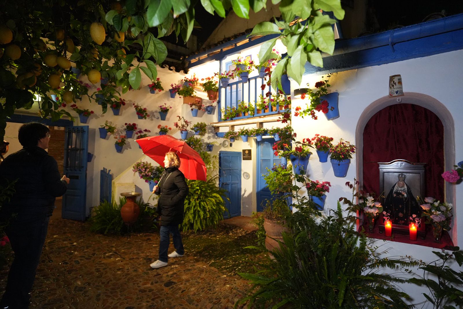 Diez patios de Córdoba abren sus puertas en este Jueves Santo