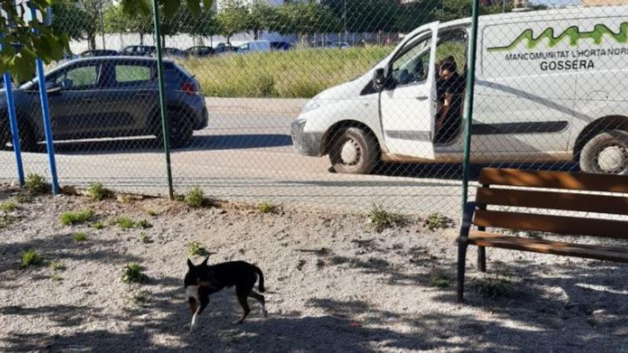 El perro dentro del pipican a la llegada de la perrera de la Mancomunitat.