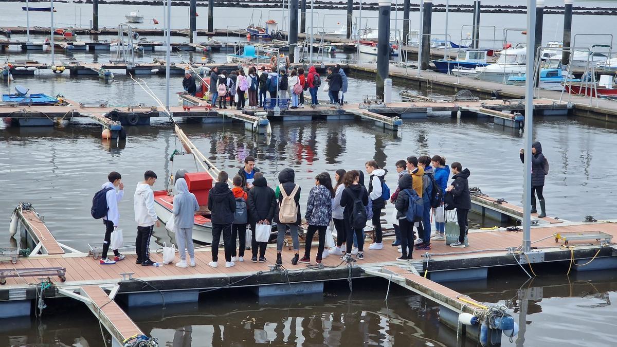 La gestión marisquera de la cofradía de Noia está siendo estudiada por los jóvenes. En la foto, dos grupos de estudiantes de un centro educativo de la zona. Reciben todo tipo de explicaciones por parte de profesores y mariscadores, tanto en el puerto como en la lonja.