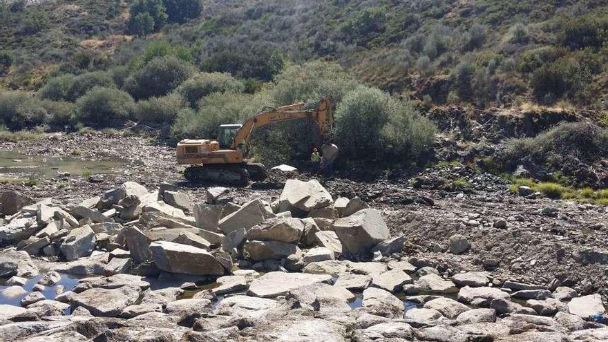 Obras de rebaje en la presa de Tinico, sobre el Tera, para permitir la escalada de las truchas de Cernadilla.