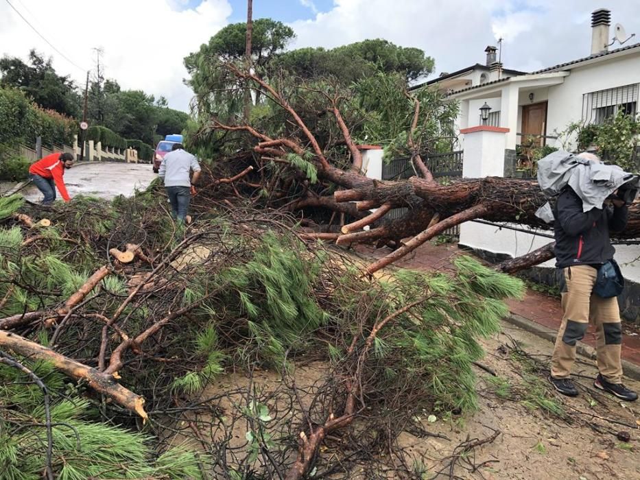 Destrosses a Riells i Viabrea per un tornado