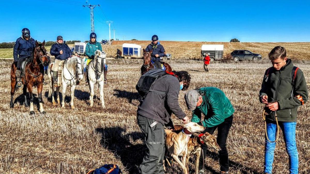 Jueces, propietarios y galgos en Granja de Moreruela.