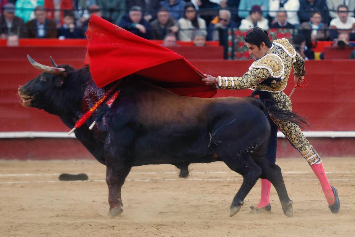 Tarde de toros de Santiago Domecq en la Feria de Fallas con Perera, Víctor Hernández y Marco Pérez
