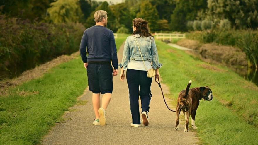 Un 57,9% de las casas rurales  aún no admite mascotas