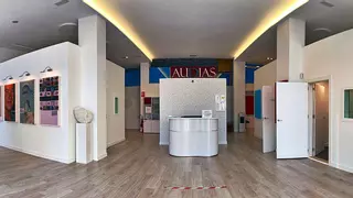 Charla en Audias sobre la conexión entre la audición y el cerebro