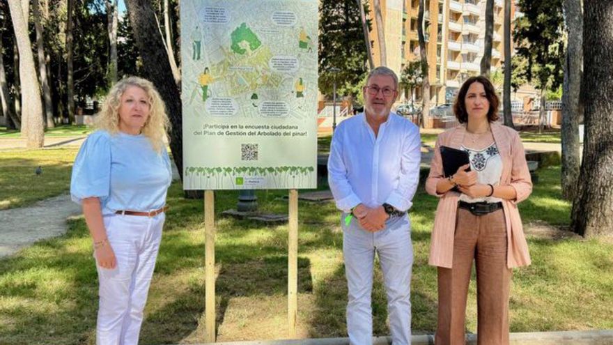 Huesca pide opinión sobre el pinar viejo del Miguel Servet