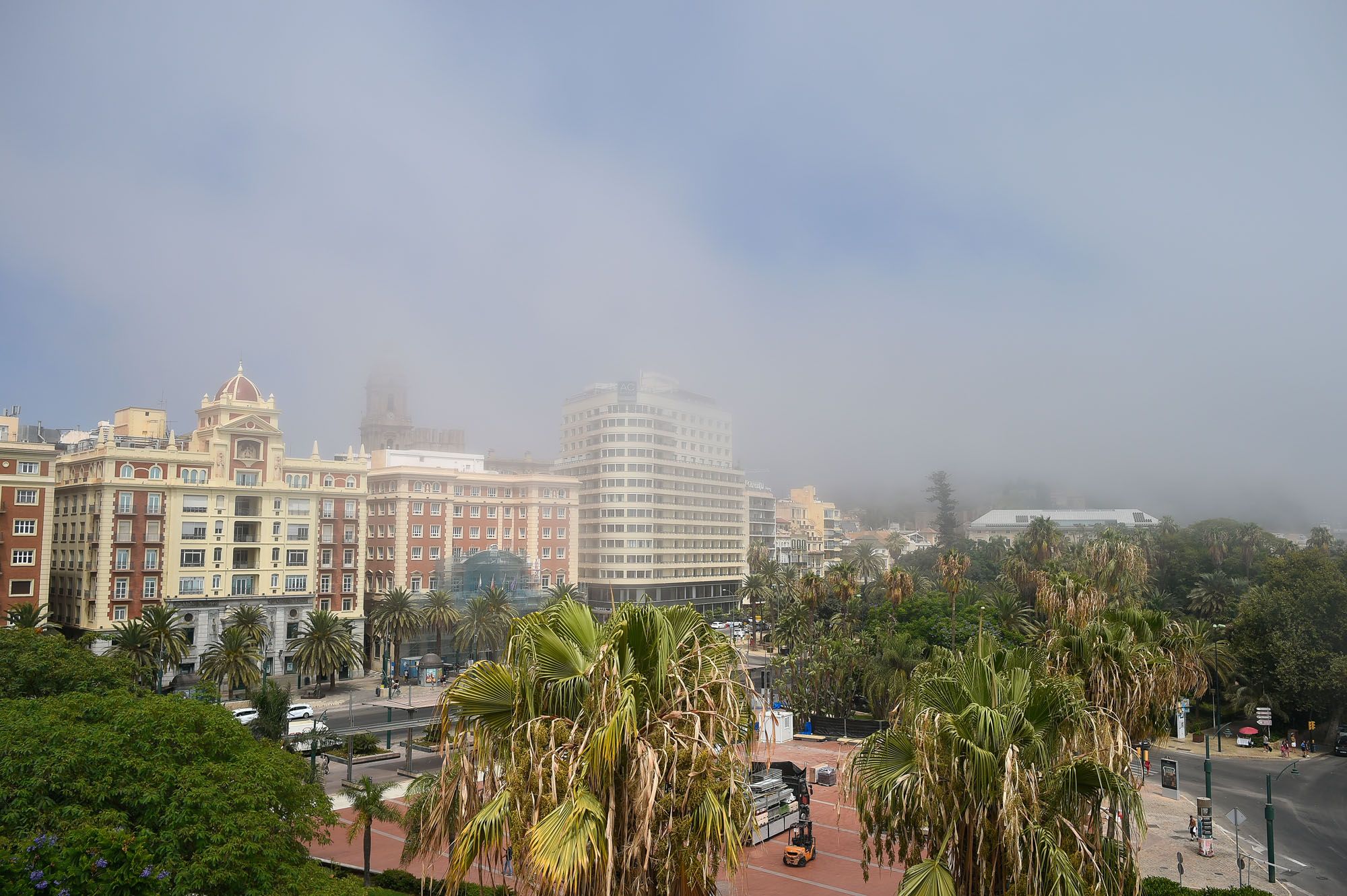 El taró cubre el litoral de Málaga