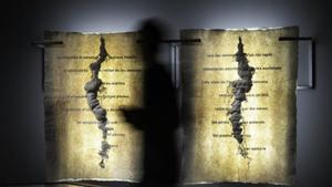 El bosc de la Rodoreda